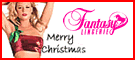 Fantasy クリスマスランジェリー