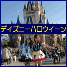 TDL �f�B�Y�j�[�E�n���E�B�[����
