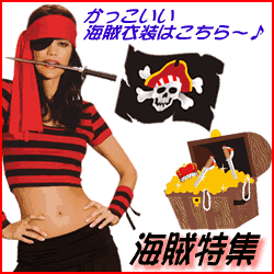 �p�C���[�c�R�X�`���[��