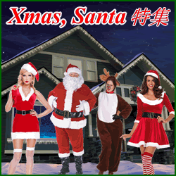 �N���X�}�X�E�T���^���i�R�[�i�[