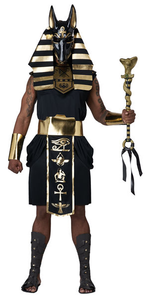 ハッピーコスチューム 商品番号 LCC5126-058