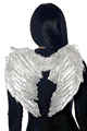 コスプレ衣装 - 羽コーナー｜ハロウィン仮装衣装通販「ハッピーコスチューム」 LFP992361